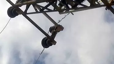 'Kuş ve Yabani Hayvanlar Elektrik Kesintisine Neden Oluyor'