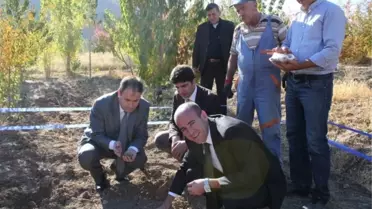 Çamardı'na Salep Bitkisi Dikildi