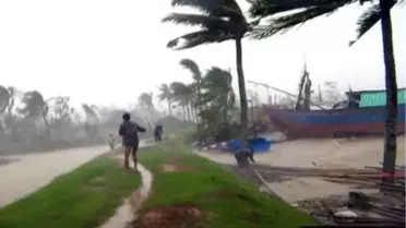 Kelebek Tayfunu Vietnam'da