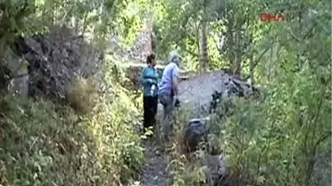 Yok Olmaya Yüz Tutan Ağaçları Çoğaltıyor