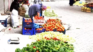 Turşuluklar Pazara Çıktı