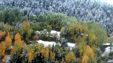 Doğu Karadeniz'de yüksek kesimlerine kar yağdı