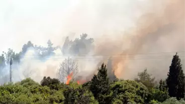 Eceabat'ta Orman Yangını