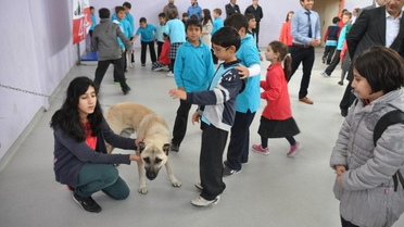 Herkes Kedi, Kuş O İse Kangal Köpeği Getirdi