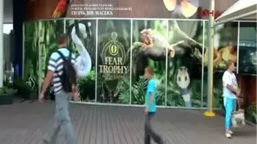 Antalya Akvaryum' da 1 Milyon Dolarlık Ürküten Eğlence