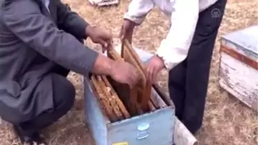 Bitlisli Arıcılar Umduğu Verimi Alamadı