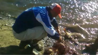 Kaçak Balık Avına Denetim