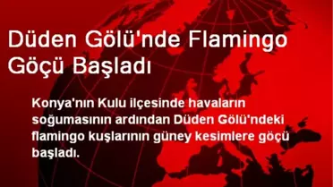 Düden Gölü'nde Flamingo Göçü Başladı