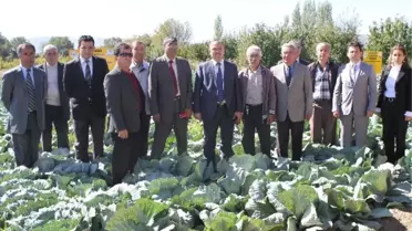 Kışlık Sebzeler Tanıtıldı