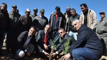 Mersinde Ağaçlandırma Çalışmaları Başladı