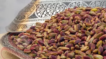 Şanlıurfa'da 'Antepfıstığı' Paneli