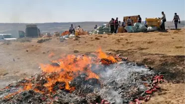 Cizre'de 55 Bin Liralık Kaçak Sigara İmha Edildi