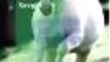 İpek Mendil İçindeki Sevgili Kitabı