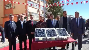 Arapgir'de Üzüm Yarışması