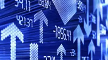 Yatırımcı Rehberi