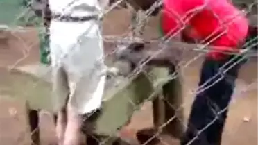 Çita ile Bakıcısının Hayrete Düşüren Dostluğu