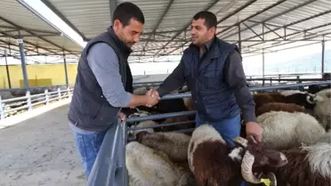 Karşıyaka'nın 5 Yıldızlı Kurban Satış Yerini Satıcılar da Alıcılar da Beğendi