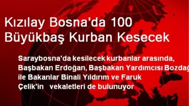 Kızılay Bosna'da 100 Büyükbaş Kurban Kesecek
