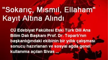 'Sokarıç, Mısmıl, Ellaham' Kayıt Altına Alındı