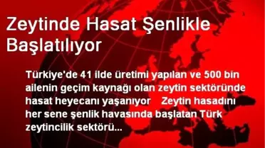 Şarkışla'da Trafik Kazası: 1 Yaralı