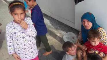 Suriyeli Mültecilere 6.5 Ton Kurbanlık Et Bağışı Yapıldı