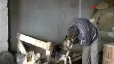 Emekli İşçiden Hayvanseverlere Çağrı