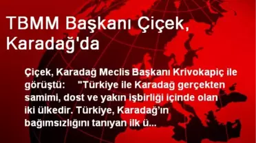 TBMM Başkanı Çiçek, Karadağ'da
