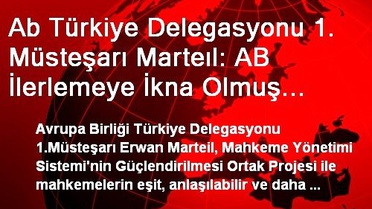 Ab Türkiye Delegasyonu 1. Müsteşarı Marteıl: AB İlerlemeye İkna Olmuş Durumda