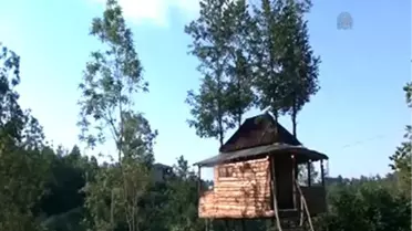 Ağaç üzerindeki ahşap ev yere indirildi