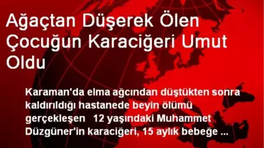 Ağaçtan Düşerek Ölen Çocuğun Karaciğeri Umut Oldu