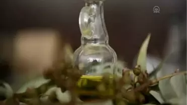 Tıbbi ve aromatik bitki yağlarının kalitesi araştırılacak