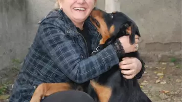 Çalınan Köpeğine Kavuştu