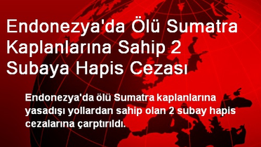 Endonezya'da Ölü Sumatra Kaplanlarına Sahip 2 Subaya Hapis Cezası
