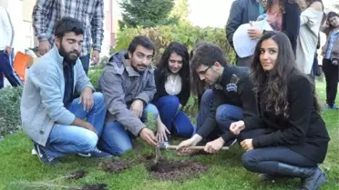 ODTÜ Olaylarını Protesto Eden Öğrenciler Fidan Dikti