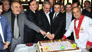 Bursa'da Kestane Festivali