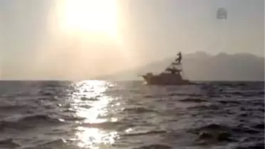 2013 Bodrum Uluslararası Açık Deniz Balık Turnuvası