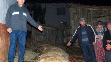 (Özel Haber) Bursa'da Esrarengiz Olay
