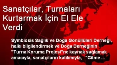 Sanatçılar, Turnaları Kurtarmak İçin El Ele Verdi