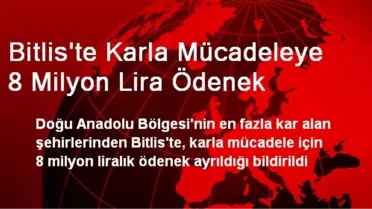 Bitlis'te Karla Mücadeleye 8 Milyon Lira Ödenek