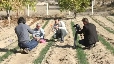 STV Şifalı Dağlar Program'ında Safran Tanıtıldı