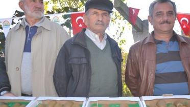 Ordu'da 7. Kivi Hasad Şenliği Yapıldı