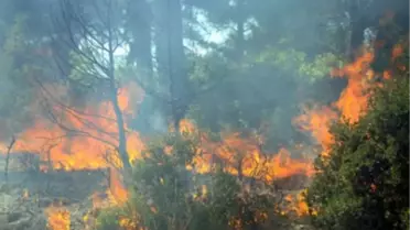 Karaman'da Yangın Sezonu Sorunsuz Atlatıldı