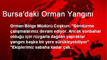 Bursa'daki Orman Yangını