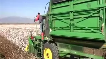 Pamukta elle hasat tarihe karıştı