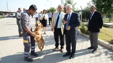 Bu Köpeğin Görevi Metan Gazı Kaçağını Belirlemek