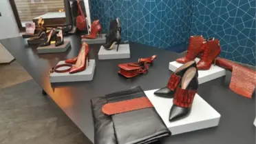 Gamze Saraçoğlu Sezonun En İddialı Çizgilerini Sunuyor