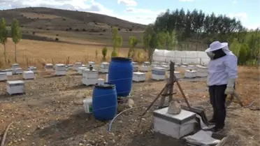 Kelkit'te Arıcılık ve Hayvancılık Altın Yılını Yaşadı