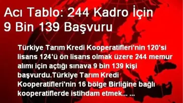 Acı Tablo: 244 Kadro İçin 9 Bin 139 Başvuru