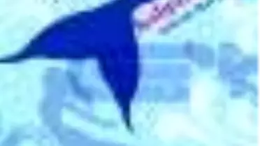 Kalgançı Çak - Kalacak Olan Çağ Kitabı