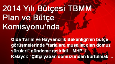 2014 Yılı Bütçesi TBMM Plan ve Bütçe Komisyonu'nda
